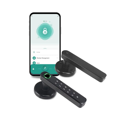 AZIOT Smart Handle Door Lock