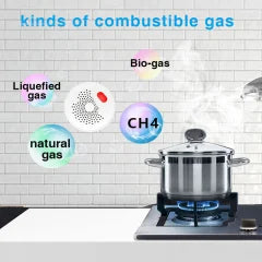 PST Wi-Fi Natural Gas Leak Detector