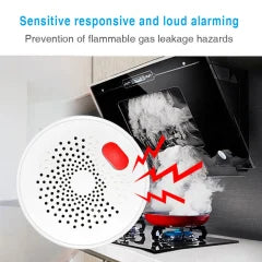 PST Wi-Fi Natural Gas Leak Detector