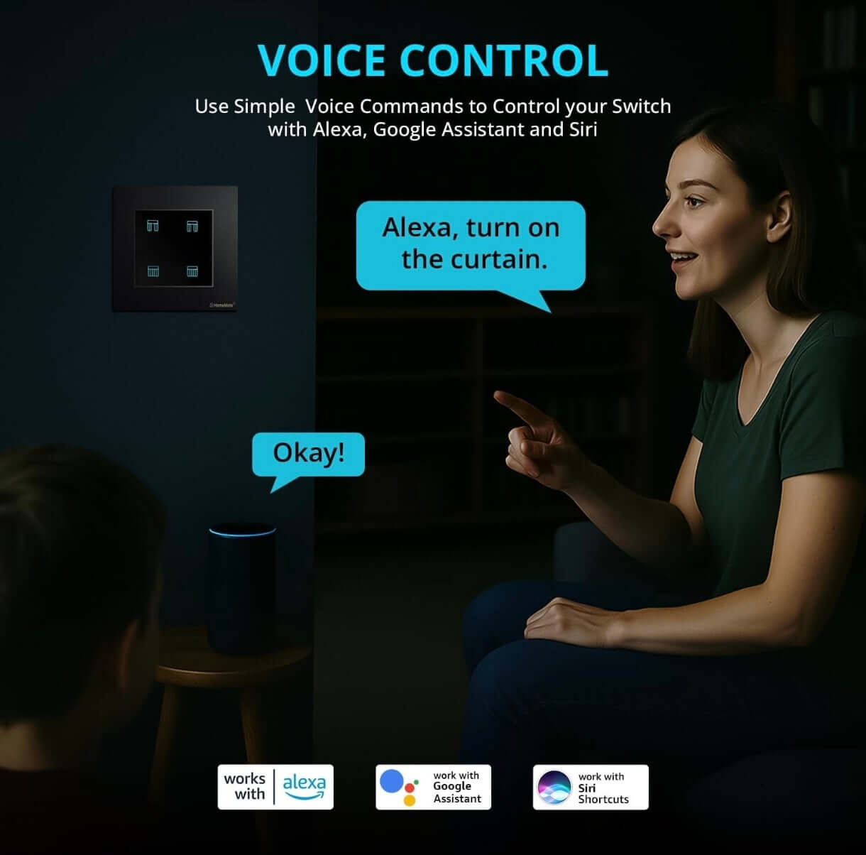 HOMEMATE Smart Curtain Switch